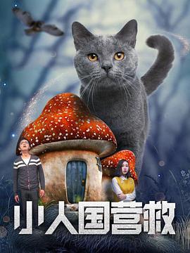 爱爱的免费视频