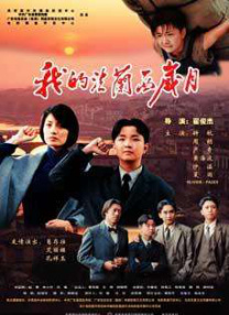 婚姻攻略 电视剧