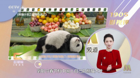 啪一啪在线视频